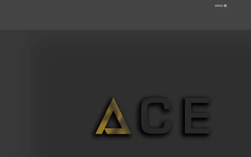 Ace Architecture