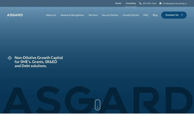 Asgard Consulting