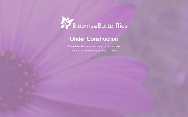 Blooms & Butterflies