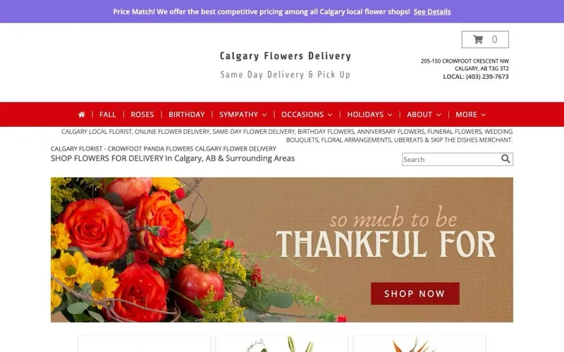 Crowfoot Panda Flowers Calgary Flower Delivery