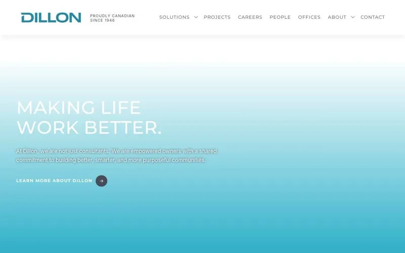 Dillon Consulting Limited