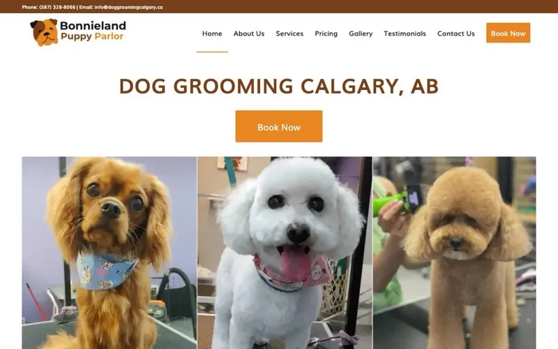 Dog Grooming Calgary