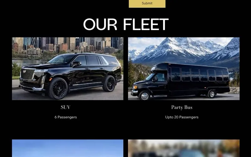 Empire Party Bus & Limos