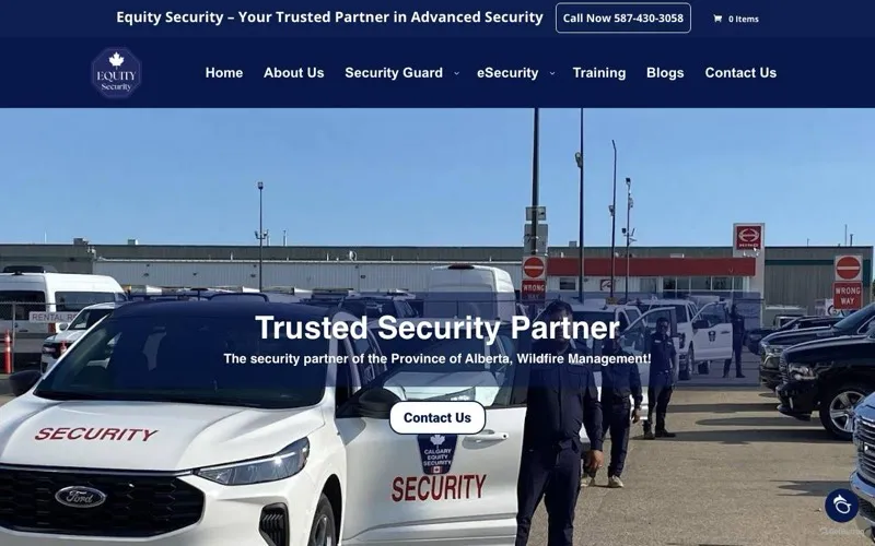 Equity Security