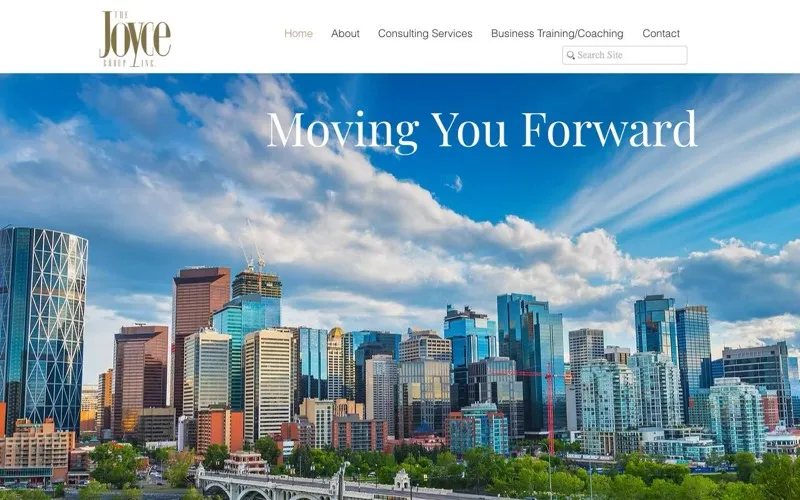 Joyce Group Inc The