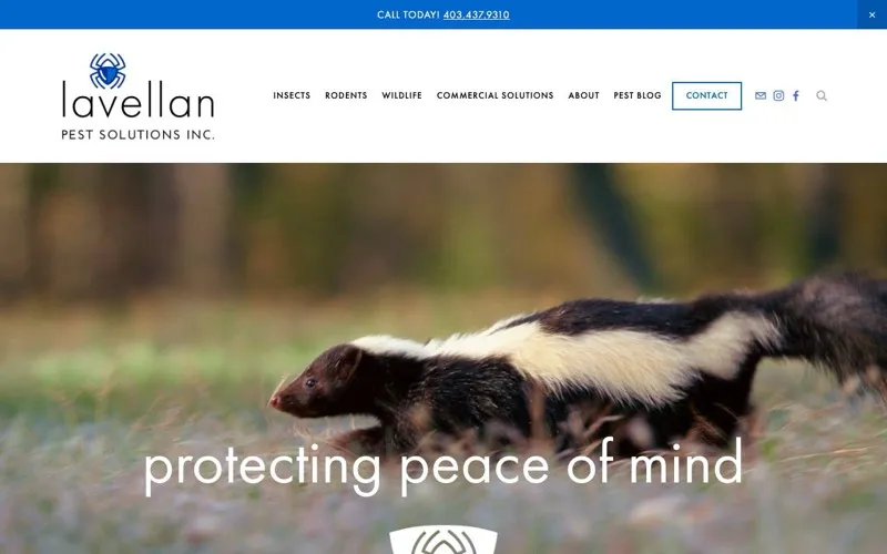 Lavellan Pest Solutions Inc.