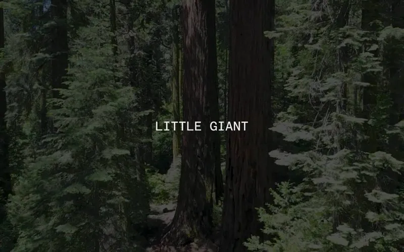 Little Giant Studio