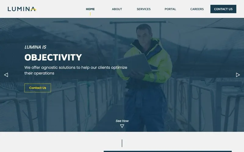 Lumina Management Consultants