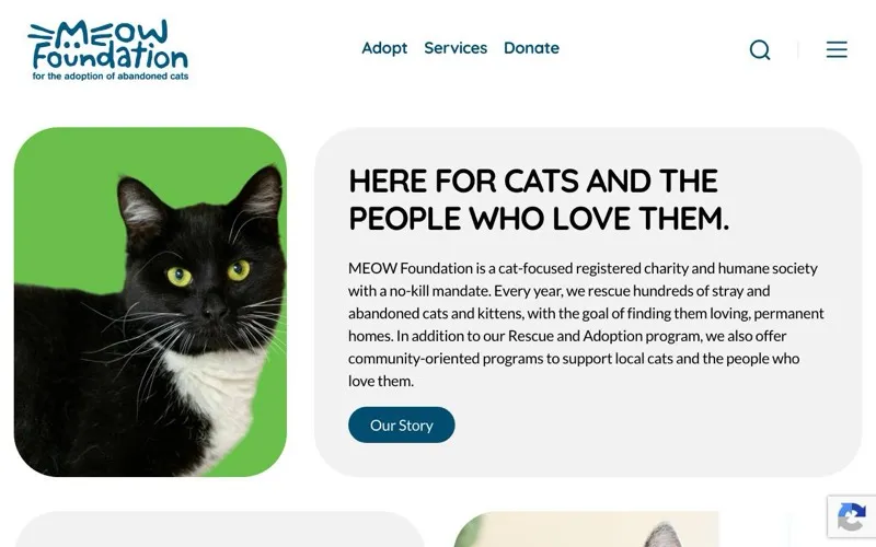 MEOW Charity Thrift Shop North