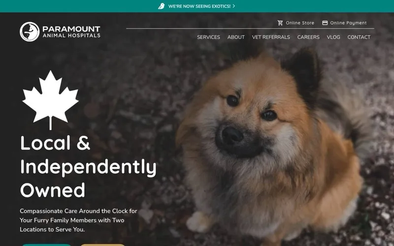 Paramount 24 Hour Animal Hospital