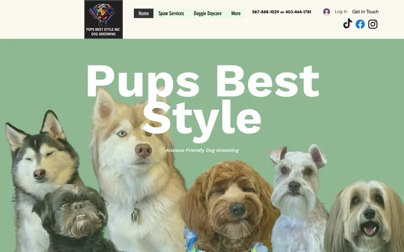 Pups Best Style