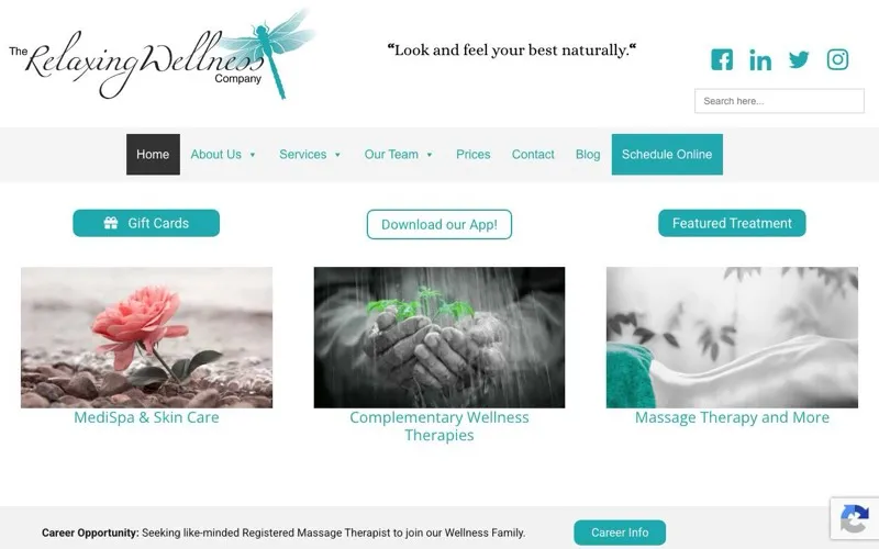 The Relaxing Wellness Company