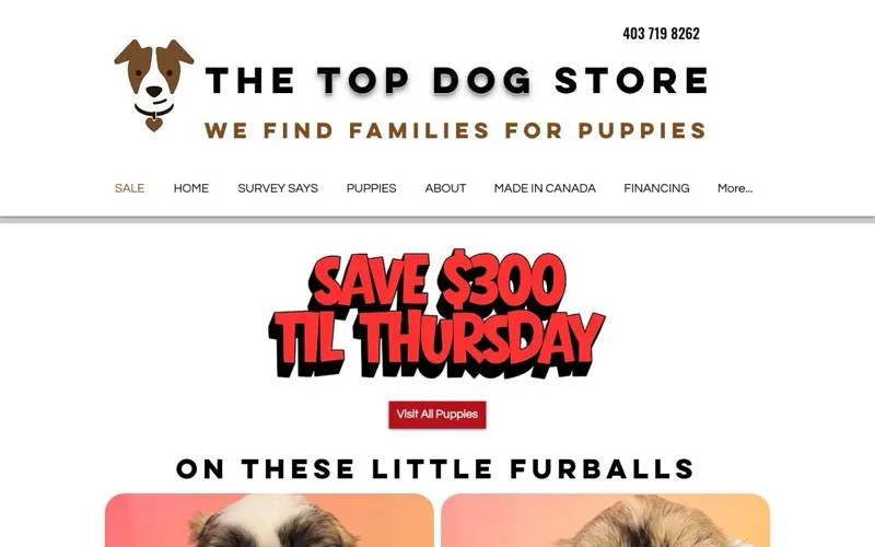 The Top Dog Store