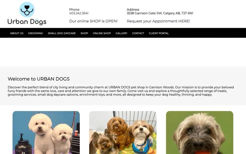Urban Dogs