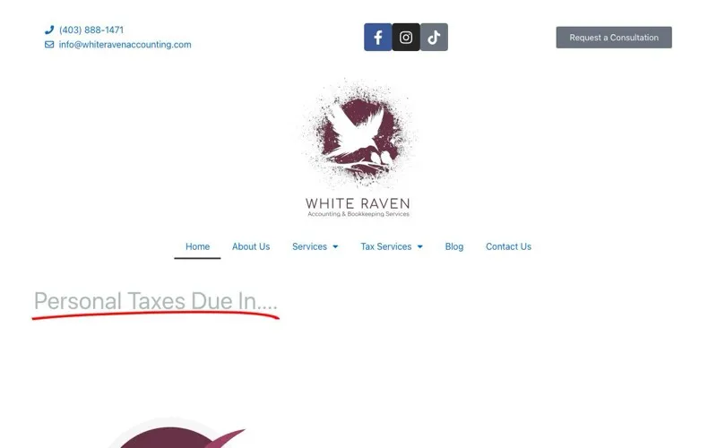 White Raven Accounting & Bookkeeping